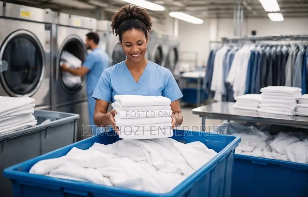 Premium Laundry Dry Cleaning (Free Trial Available)