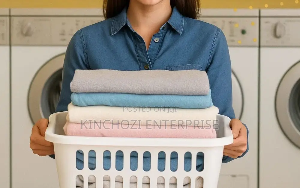Premium Laundry Dry Cleaning (Free Trial Available)