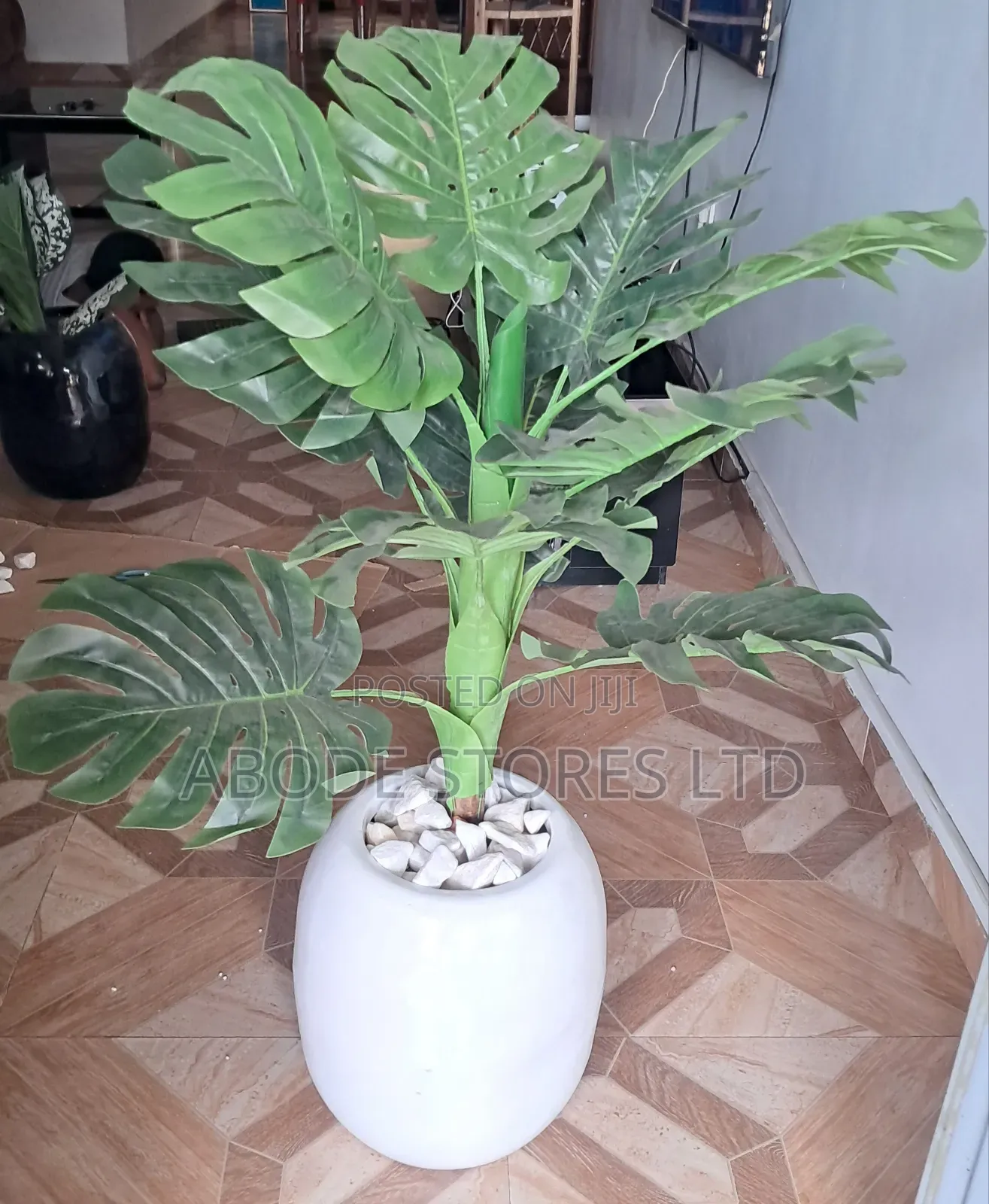 100cm Monstera Decorative Floor Plant