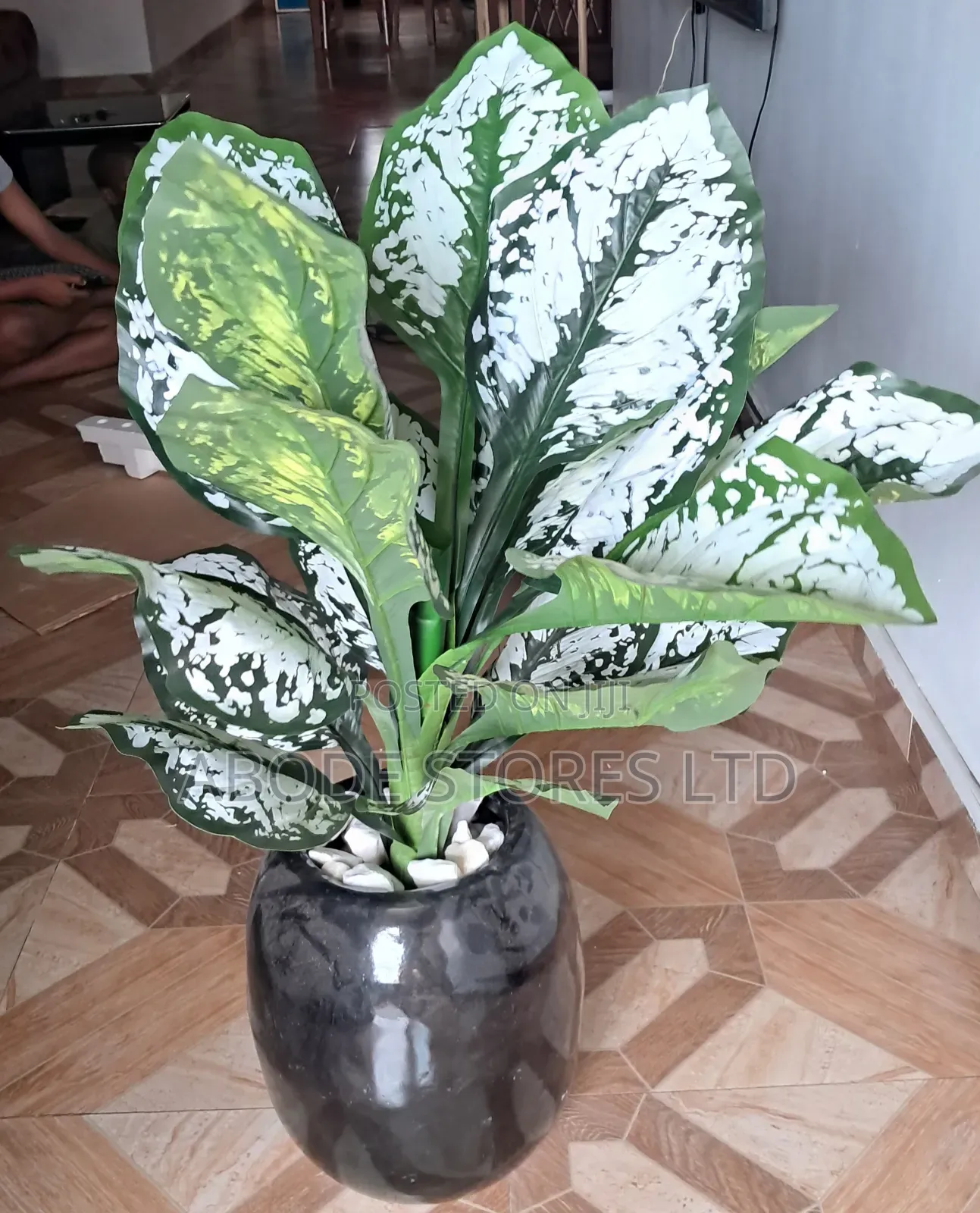 100cm Realistic Calathea Floor Plamt
