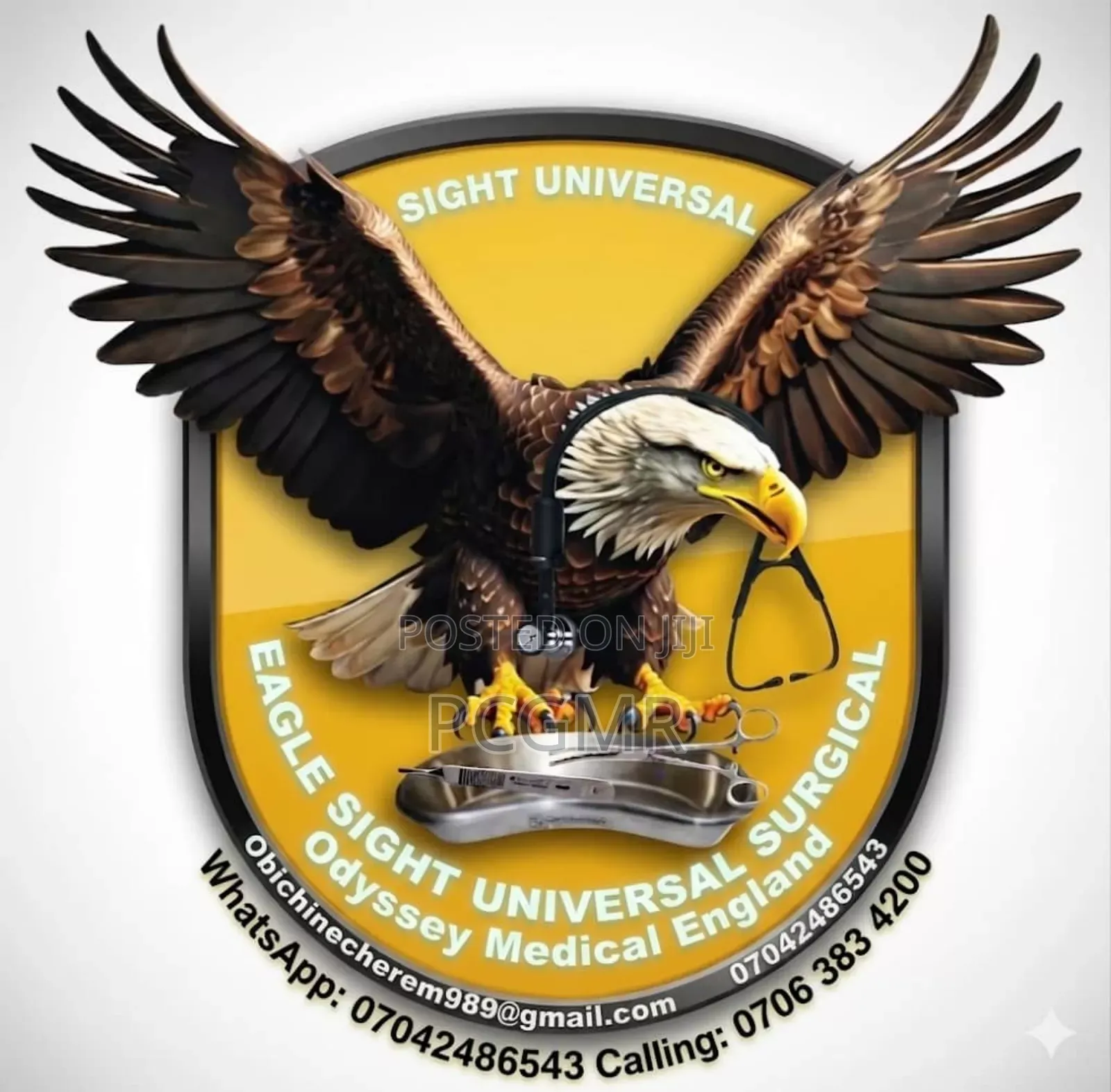 Professional Banner, Flex, Sav, Poster, Invitation, Logo