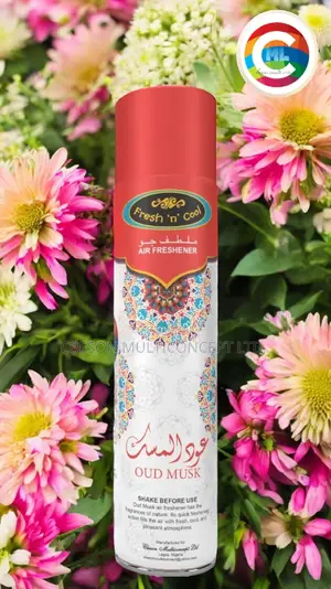 Fresh N Cool Airfreshner Spray