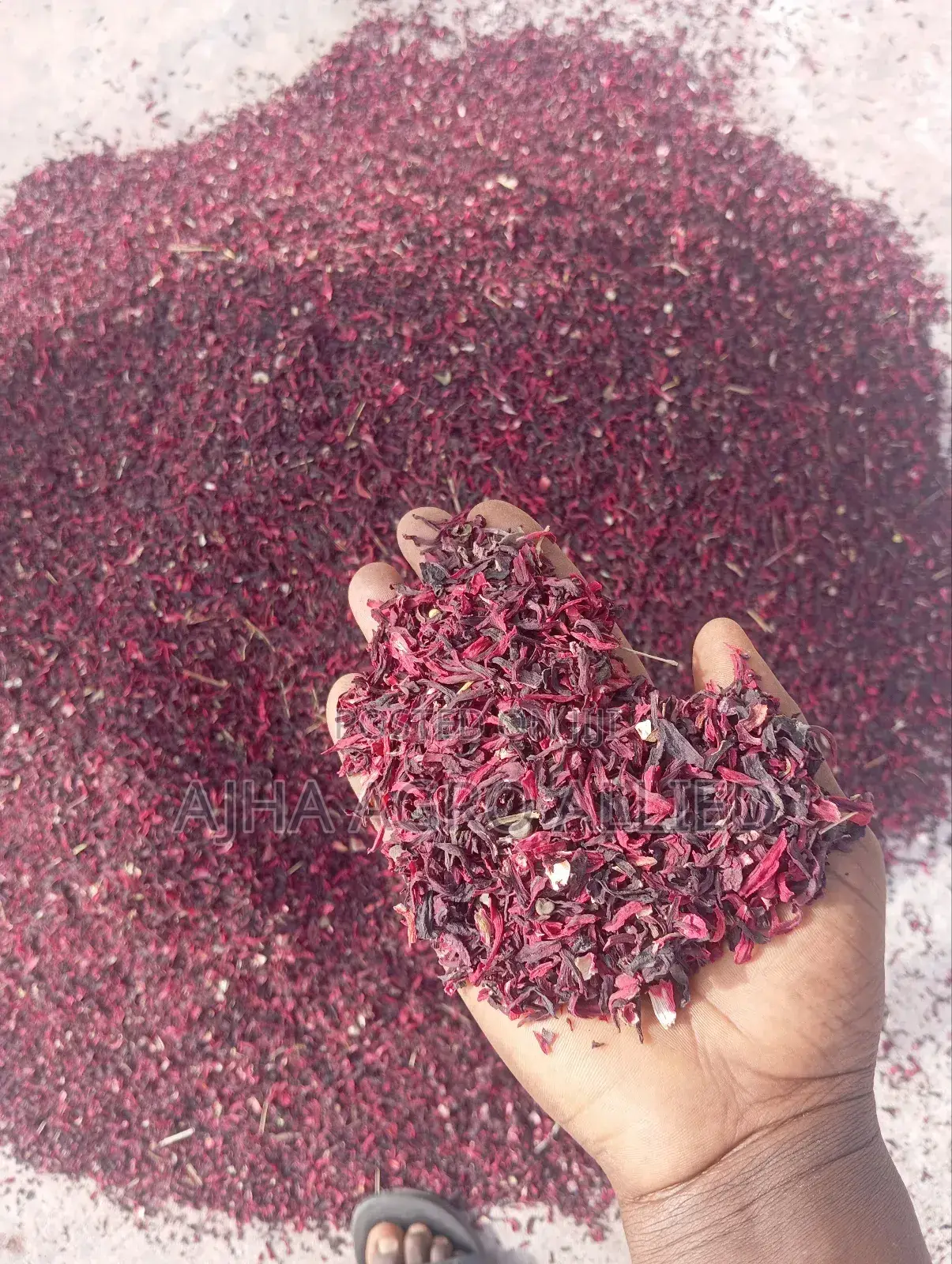 Hibiscus Sifting