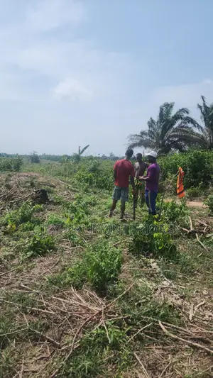 Lands and Properties for Sale
