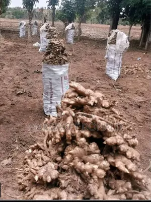 Original Nigerian Ginger