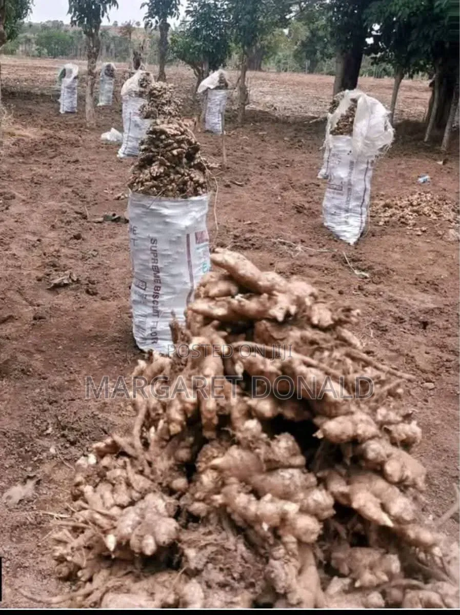 Original Nigerian Ginger