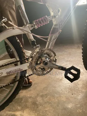 Mountain Bicycle With Double Suspension