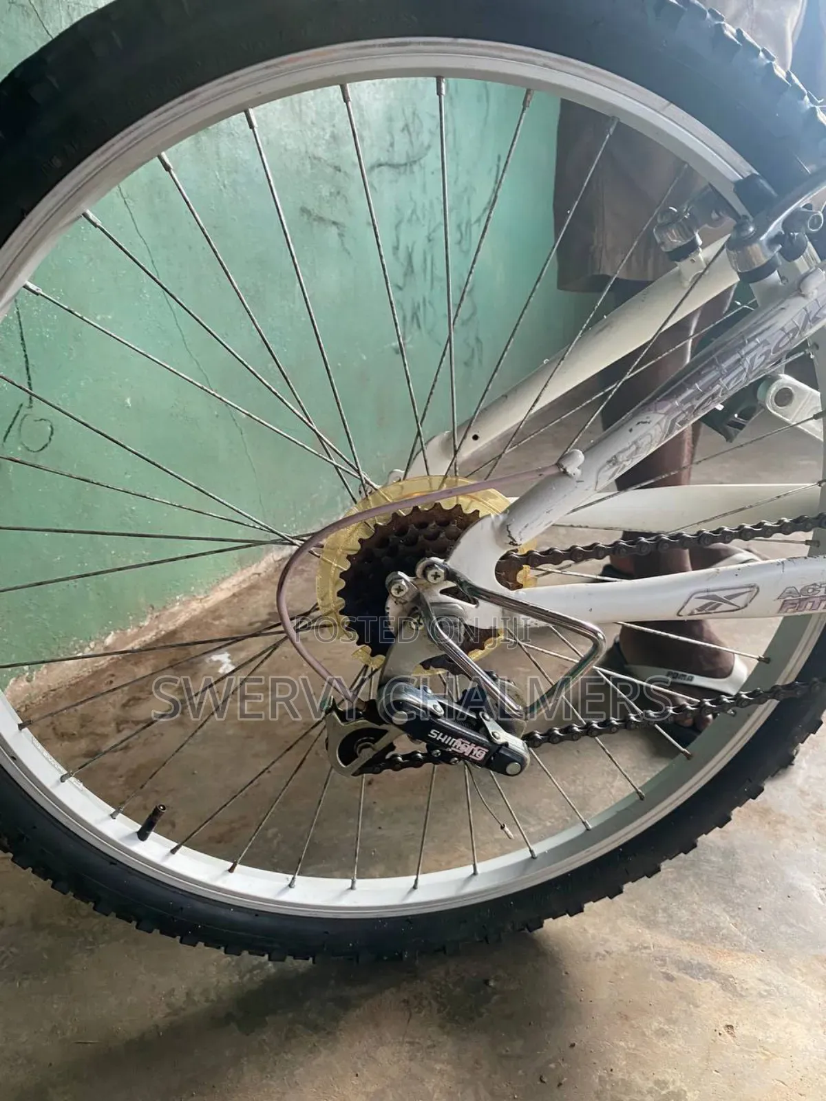 Mountain Bicycle With Double Suspension