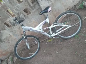Mountain Bicycle With Double Suspension