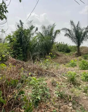 50 X 100 Land for Sale