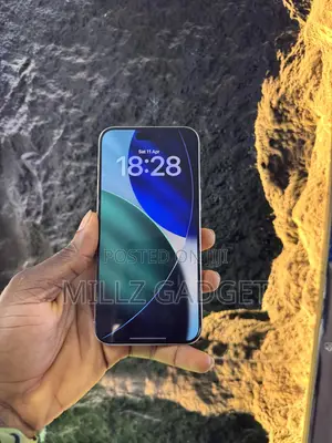 Apple iPhone 15 Pro Max 256 GB Silver
