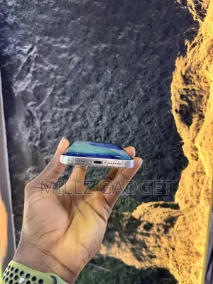 Apple iPhone 15 Pro Max 256 GB Silver