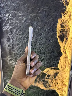 Apple iPhone 15 Pro Max 256 GB Silver