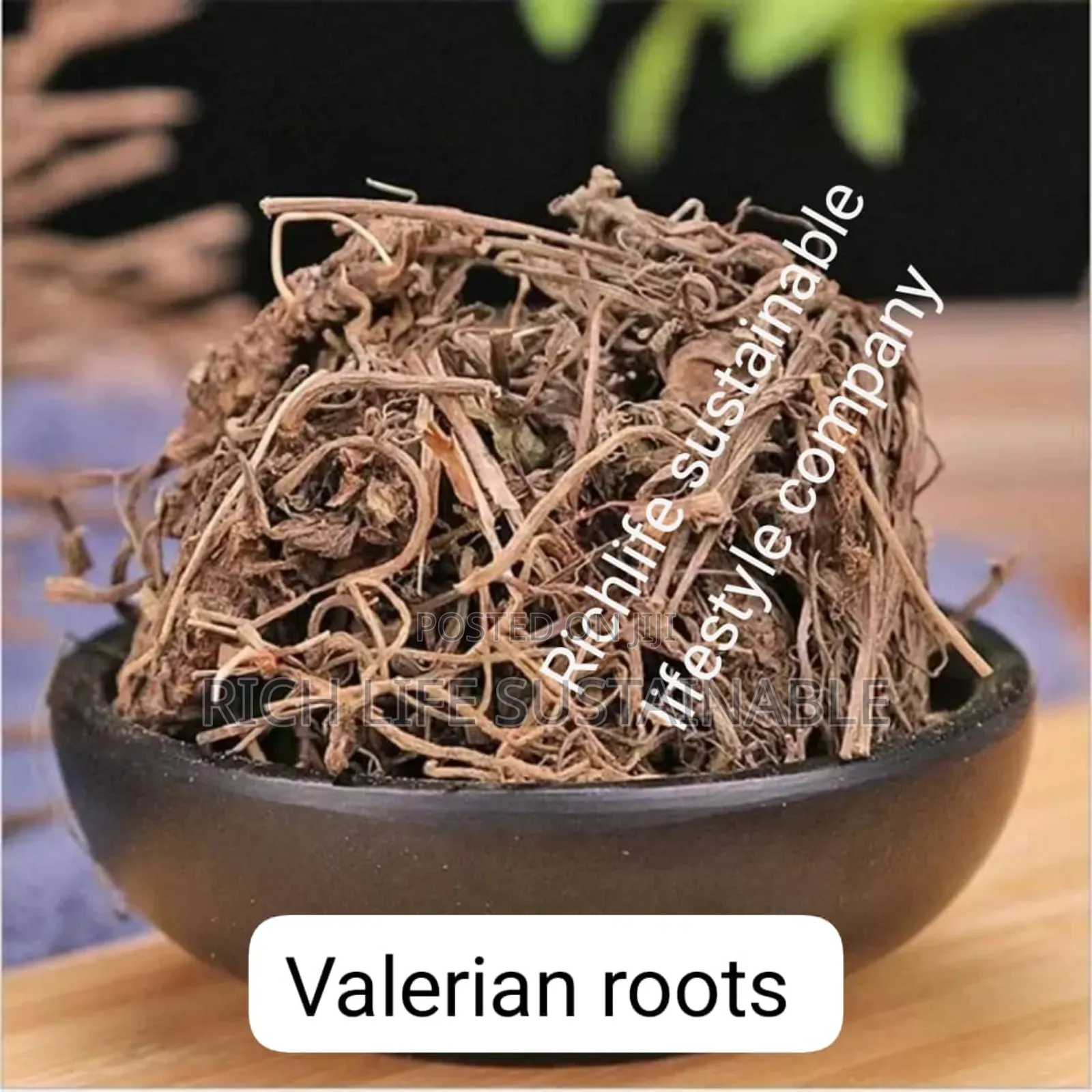 Valerian Roots