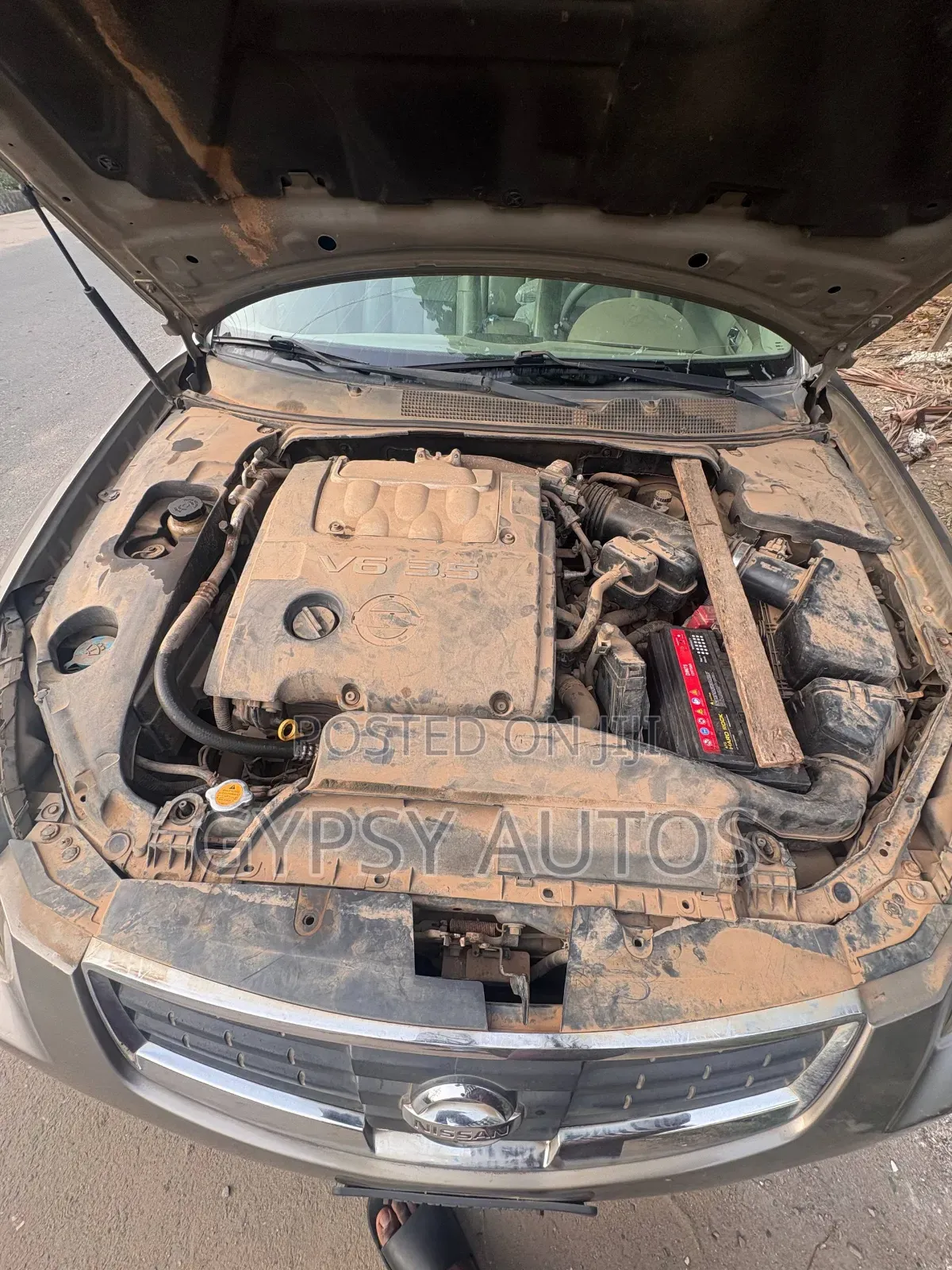 Nissan Maxima QX 3.0 2008 Brown