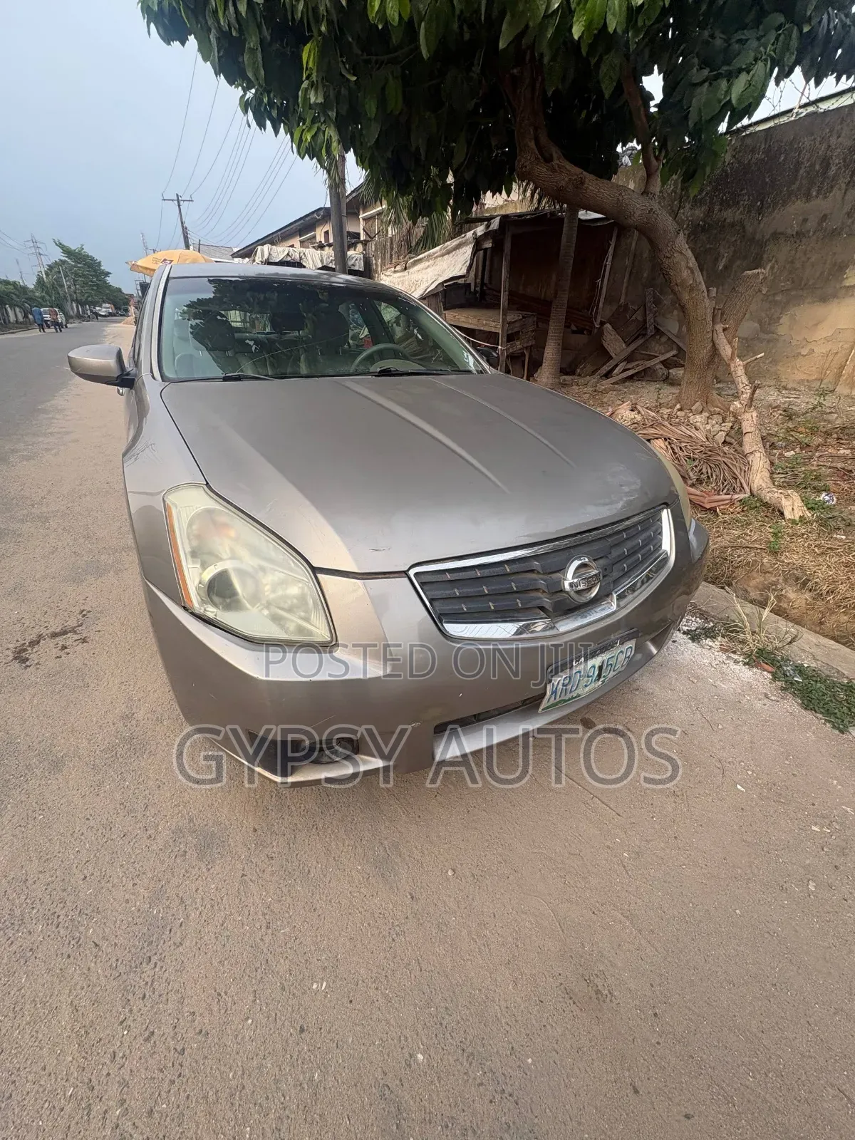 Nissan Maxima QX 3.0 2008 Brown