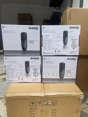 Akgp120 Condenser Microphone