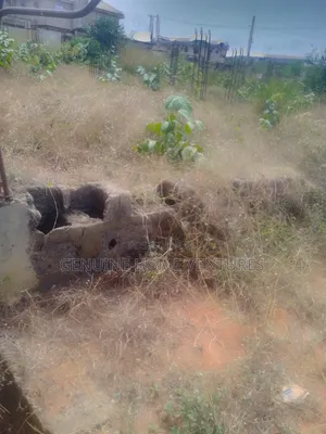 Fenced 3 Plots of Land in Eyita- Ojokoro Road Ikorodu