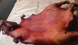 Grass Cutter Bush Meat