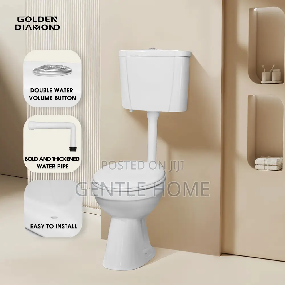 Hanging Water Closet