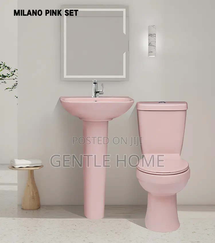 Pink Water Closet