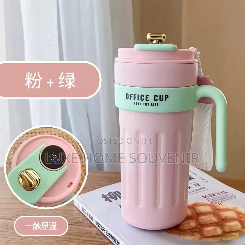 Temperature Mug