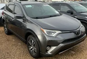 Toyota RAV4 XLE AWD (2.5L 4cyl 6A) 2017 Gray