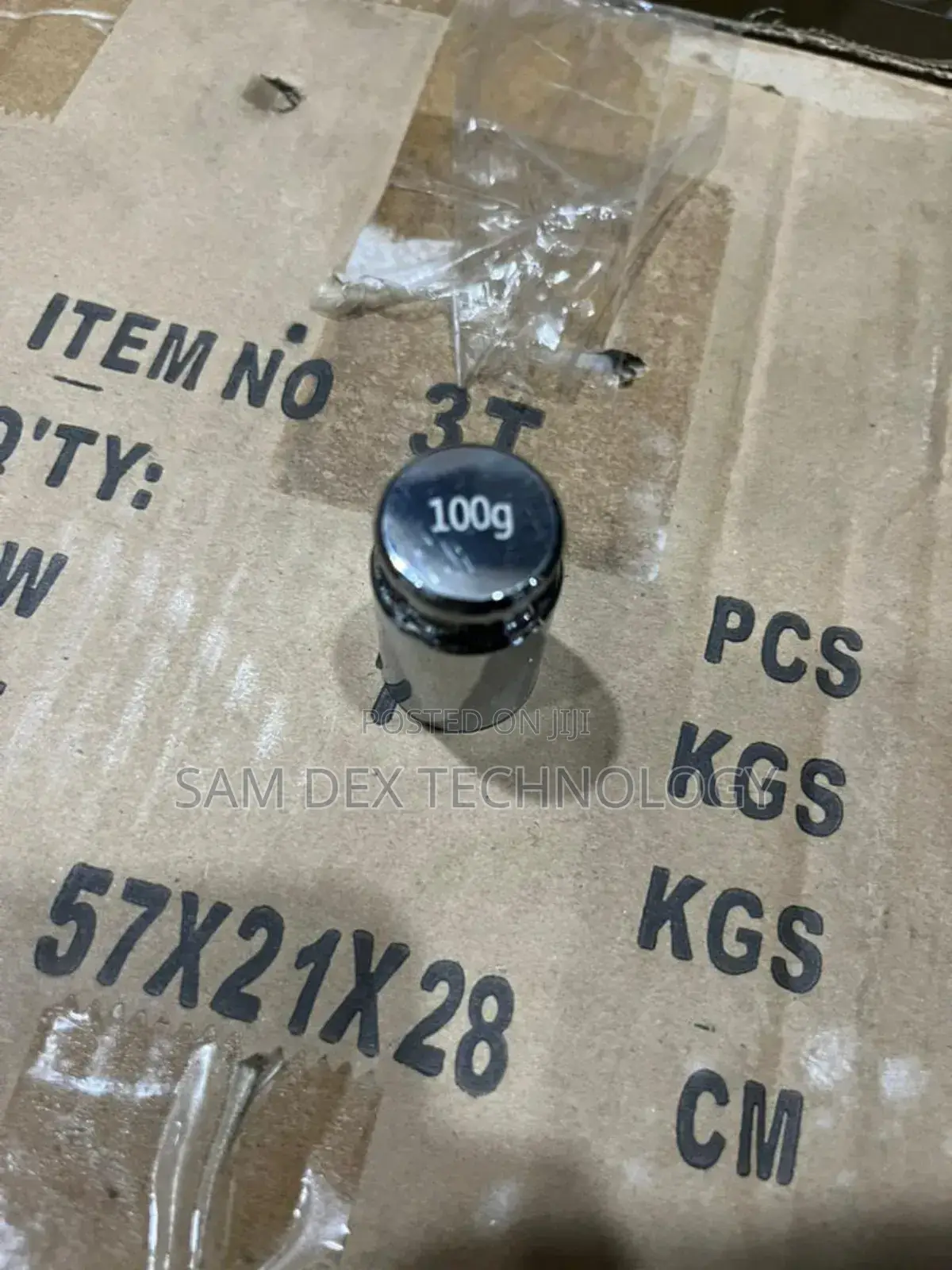 100g Stainless Test Weight