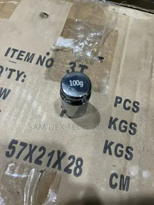 100g Stainless Test Weight