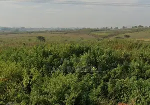 A Land in a Strategic Location for Sale