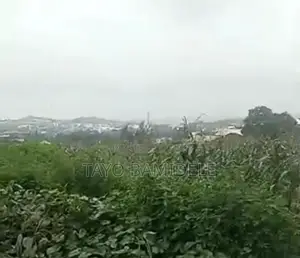 A Strategic Land on a Road Side