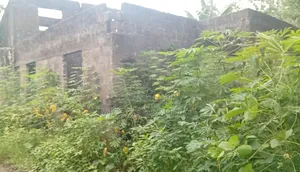 5bdrm House in Chukwudi Ekeji, Emohua for sale