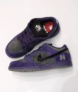 Nike Sb Dunk Sneakers