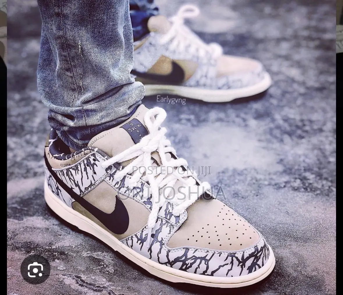 Nike Sb Dunk Sneakers