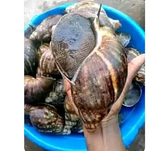 Seafood Stuffs