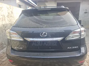 Lexus RX 350 2010 Gray