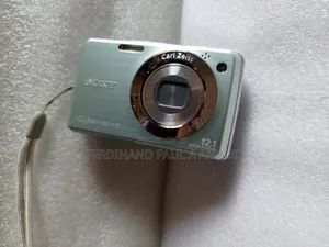 Sony Digital Photo Video Camera for Vintage Passport Snapping