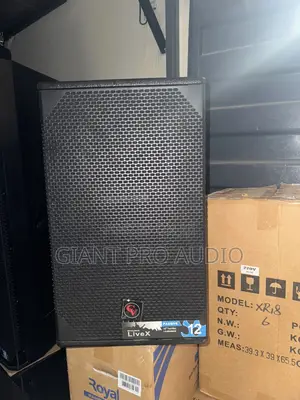Professional Cv 12 Inches Single Speaker