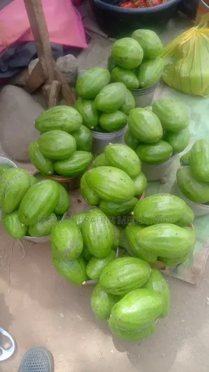 Fresh Avocado
