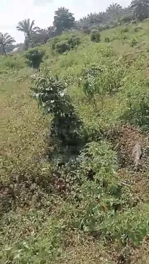 Land for Sale at Obayantor 100 by 100