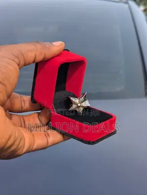 Star Steel Inspires Men's Ring 8