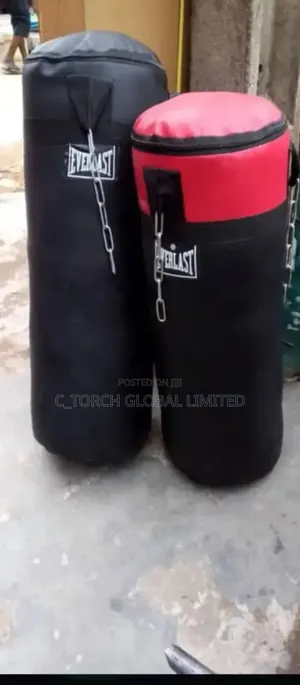 Everlast Heavy Punching Bags