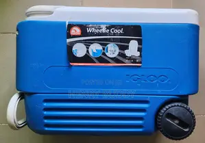 Igloo Cooler