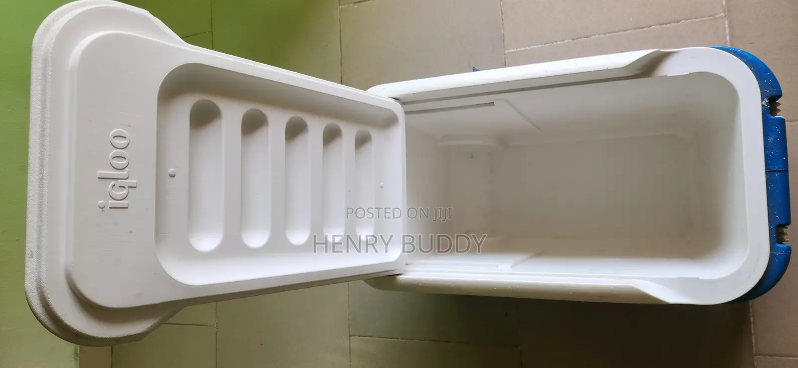 Igloo Cooler