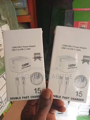 iPhone Original Charger