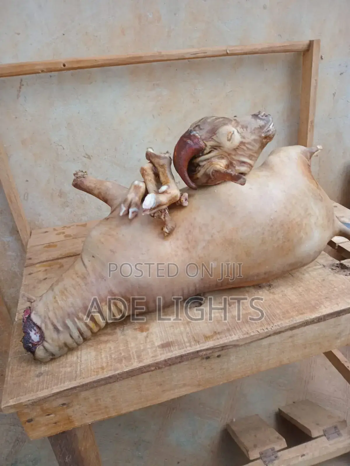 Fresh Goat Meat