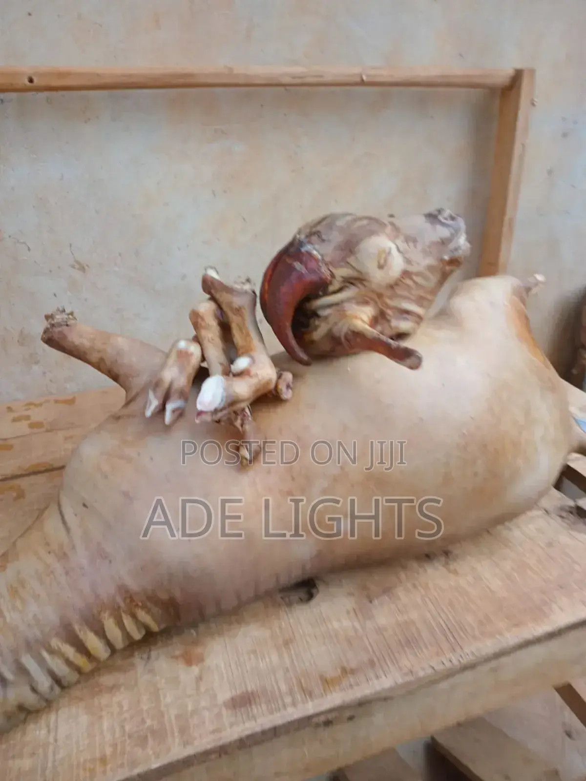 Fresh Goat Meat