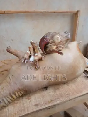 Fresh Goat Meat