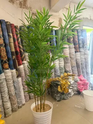 Beautiful Flowers