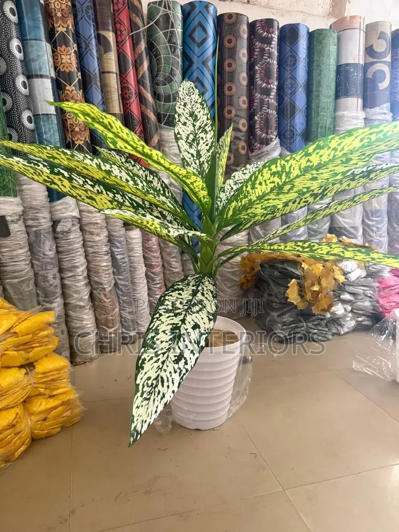 Beautiful Flowers